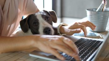 How to Find the Right Work From Home Job for You
