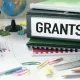 Explore the Benefits of Government Grants: An Overview of 4 Types